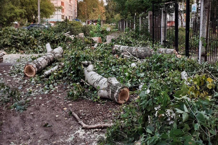 Жители улицы Зайцева пожаловались на спиленные деревья возле дома - фото 1
