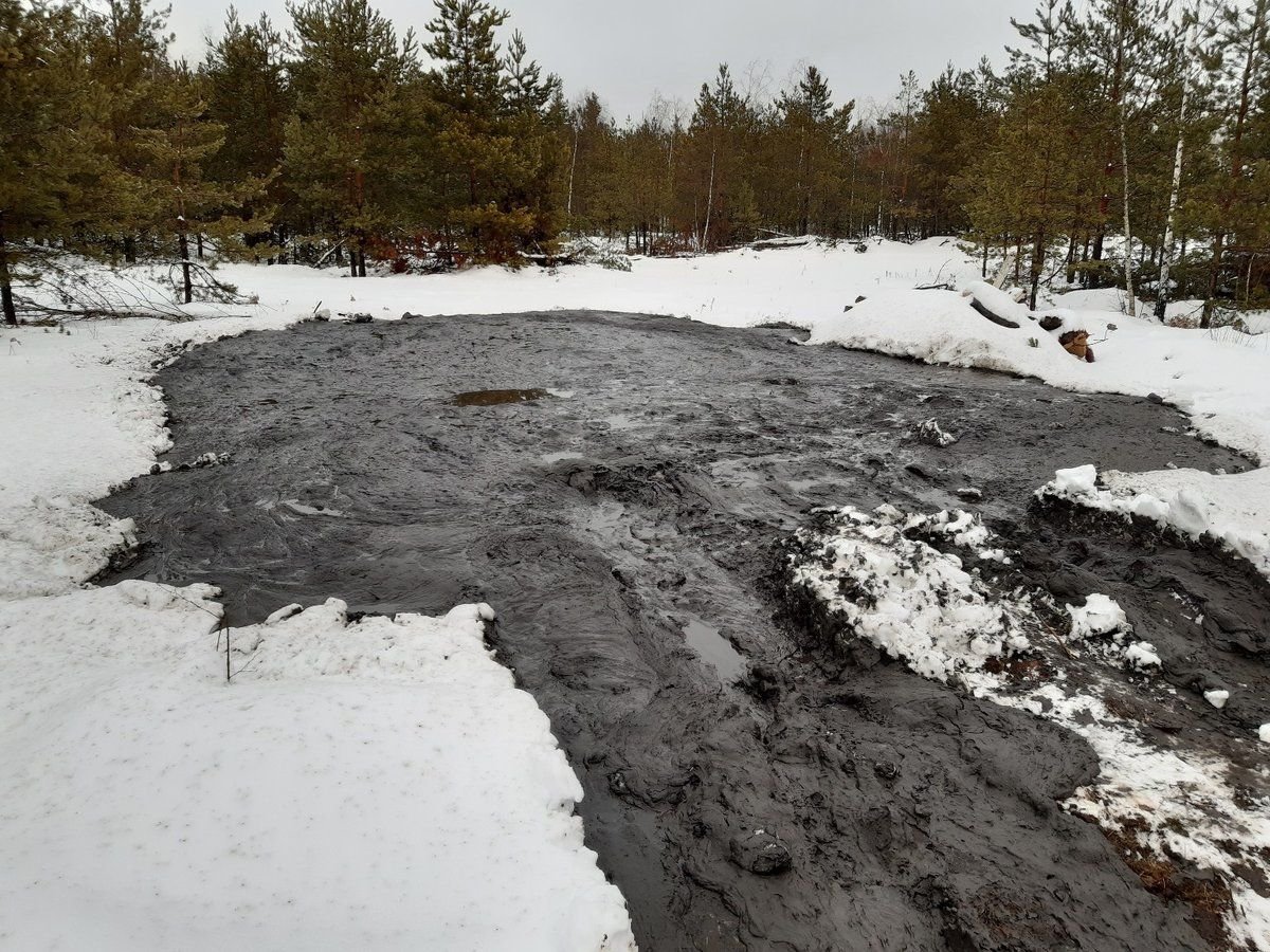 Дзержинский автоцентр оштрафовали на 400 тысяч рублей за загрязнение почвы нефтепродуктами