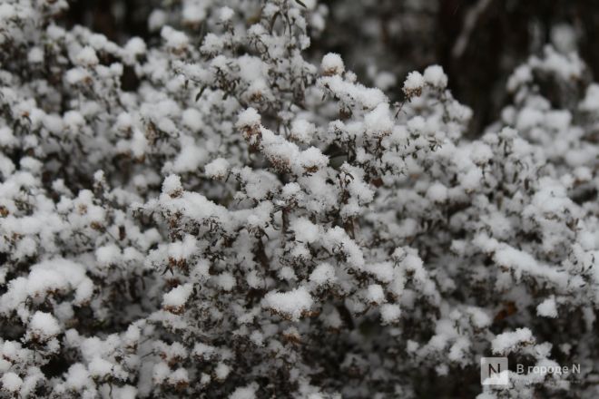 Фоторепортаж: как Нижний Новгород переживает снежную бурю 1 ноября - фото 111