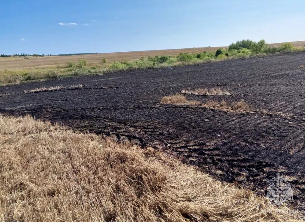 Гектар пшеницы сгорел из-за комбайна в Нижегородской области - фото 1