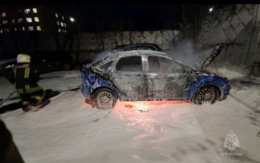 Две машины сгорели из-за крыс в Нижнем Новгороде