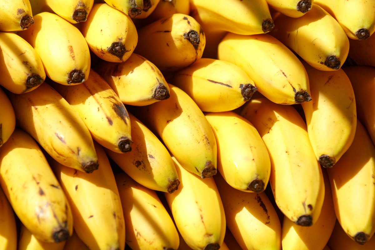 Что произойдет с телом, если ежедневно есть бананы - фото 2
