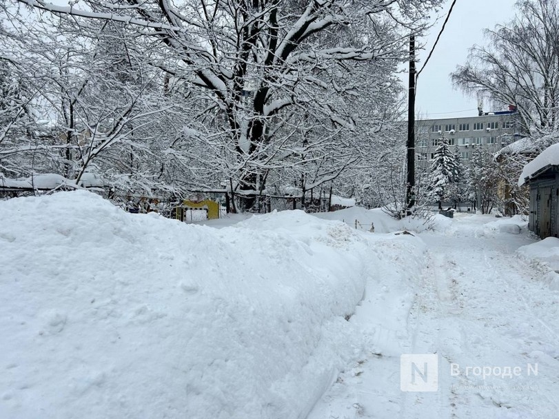 Нижегородская область вошла в топ регионов России с гигантскими сугробами - фото 1
