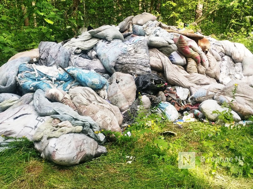Свалку из постельных принадлежностей обнаружили нижегородцы в Зеленом городе - фото 1