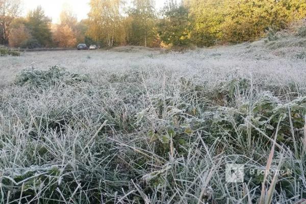 МЧС предупредило о заморозках до -4&deg;С в Нижегородской области