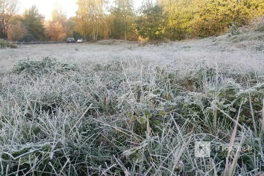 МЧС предупредило о заморозках до -4&deg;С в Нижегородской области - фото 1