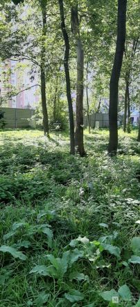 Нижегородцев пугает могила в благоустроенном сквере - фото 3