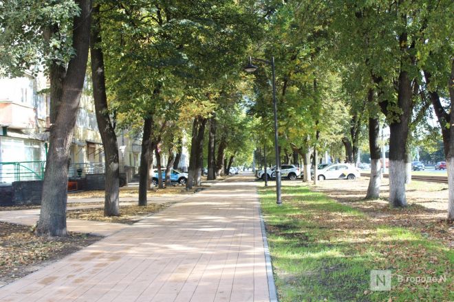 Благоустройство площади у Автозаводского универмага завершено в Нижнем Новгороде - фото 41
