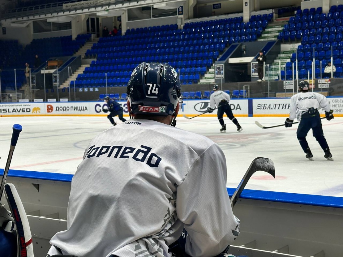 Цены на билеты на матчи &laquo;Торпедо&raquo; в Нижнем Новгороде планируют снизить - фото 1