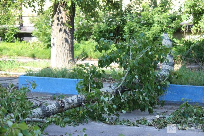Четвертый день после урагана: борьба с последствиями разгула стихии продолжается в Нижнем Новгороде - фото 6