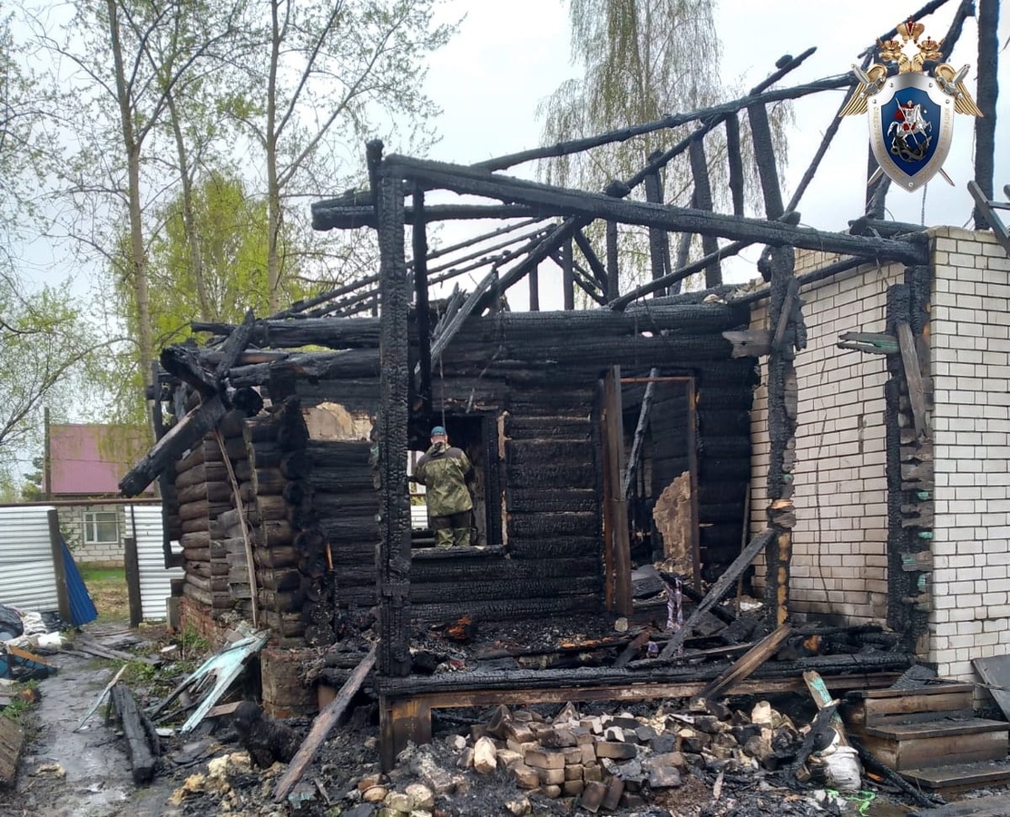 Жителя Богородска подозревают в убийстве пенсионерки и поджоге ее дома - фото 2