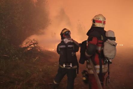 Нижегородские пожарные оказались в кольце огня во время тушения возгораний в лесах