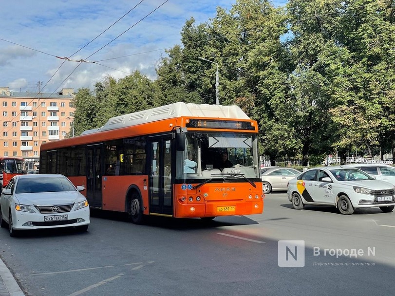 Журналисты оценили новый маршрут в Нижнем Новгороде: автобусы ходят почти пустыми, а пассажиры негодуют - фото 6