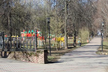 Новые урны и скамейки планируется установить в парке имени Кулибина