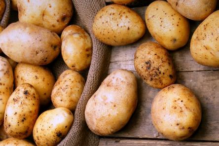 Опасность на прилавках: что эксперты нашли в картошке из российских магазинов