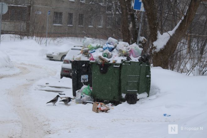 Снежный циклон &laquo;Валли&raquo; обрушился на Нижний Новгород: фоторепортаж - фото 68