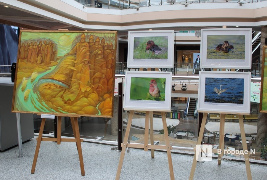 Выставка об Артемовских лугах открылась в Нижнем Новгороде - фото 1