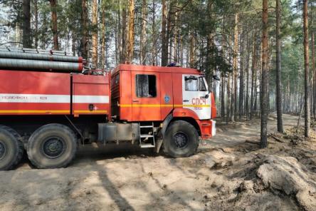 Площадь активного горения леса в Воротынском районе сократилась на 9 га