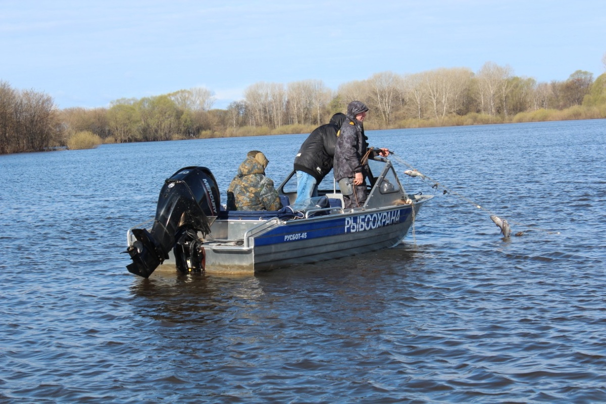 Ограничения на рыбалку сняты на Ветлуге и Оке в Нижегородской области - фото 1