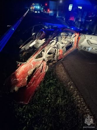Опубликованы фото с места ДТП в Нижегородской области, где погибли три человека - фото 4