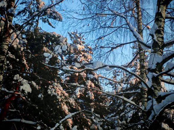 Аномальные морозы в Нижнем Новгороде: фоторепортаж из заснеженных парков - фото 40