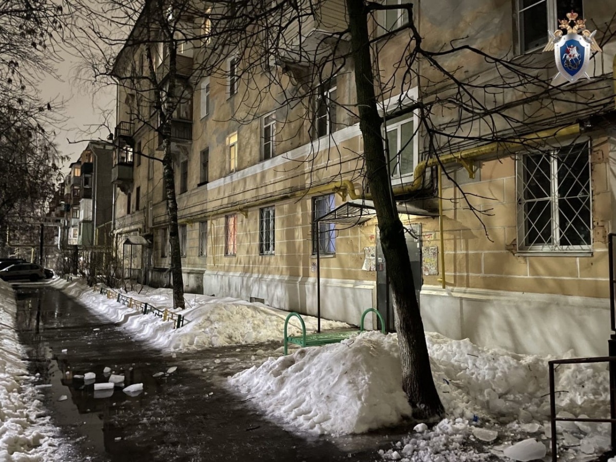 Упавший с крыши лед сломал руку двухлетнему ребенку в Московском районе - фото 2