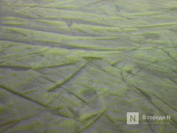 Прямиком в русскую сказку: как выглядит новогодняя локация — 2026 на Нижегородской ярмарке - фото 35