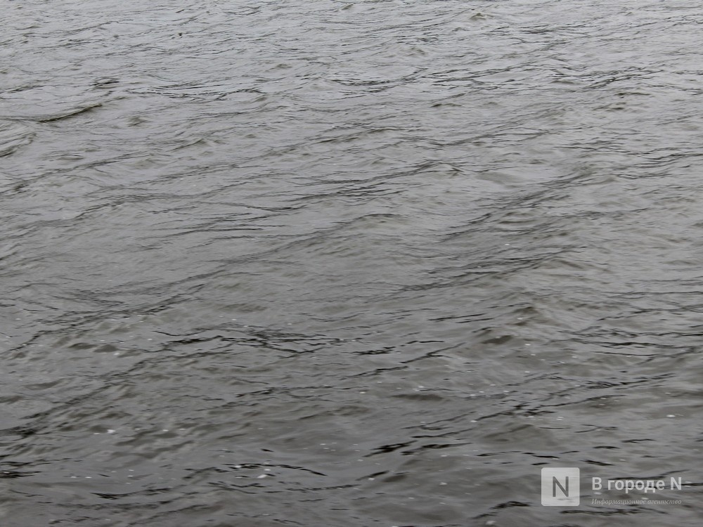 Тело подростка достали из реки в Нижегородской области - фото 1