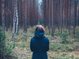 Что делать, если вы заблудились в лесу