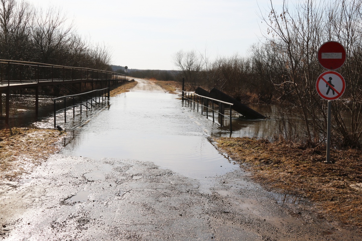 17 мостов может затопить в Нижегородской области из-за паводка - фото 1
