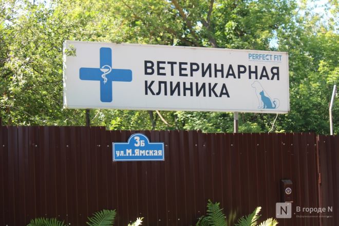 Здесь будет IT-квартал: как выглядит площадка под КРТ в центре Нижнего Новгорода - фото 12
