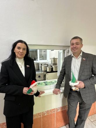 Депутат Гриневич помогла купить газонокосилку школе в Богородске - фото 2